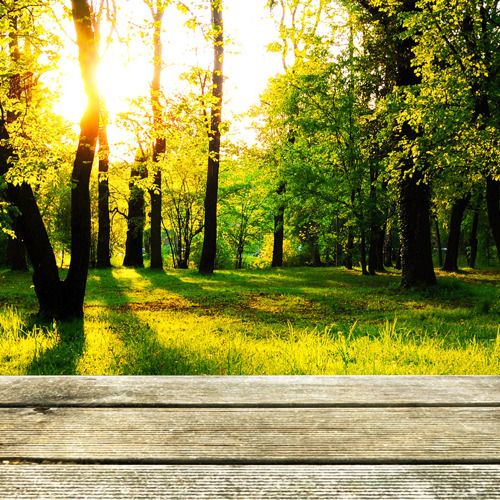🍂 Saisonende 2025 im Gartenpark Hasenheide
